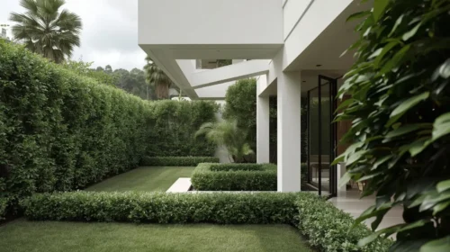Privasi dengan Vegetasi yang Rapi