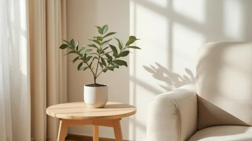 Dekorasi Tanaman Hijau yang Minimalis