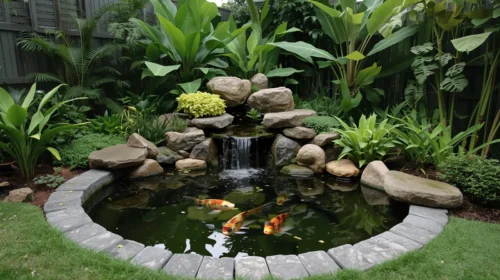 Kolam Ikan Dalam Konsep Taman Rumah